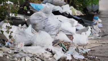 yolun, tarafında yere çöp bir sürü yalan söylüyor. dağınık çöp, çöp, eski şeyler, araba lastikleri, kırık cam, plastik. çöplüğü. ekoloji, çevre kirliliği.