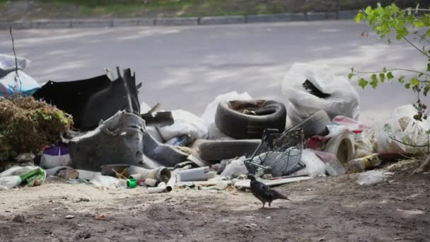 Na zemi, na straně silnice spousta odpadků, který lže. rozptýlené odpadky, odpadky, staré věci, auto pneumatiky, rozbité sklo, plast. Skládka. ekologie, znečištění životního prostředí. — Stock video