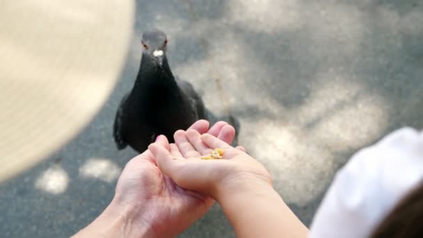 ВЕНИЦА, ИТАЛИЯ - 7 июля 2018 года: крупным планом туристы кормят голубей с рук, в Венеции. Прирученные голуби — стоковое видео