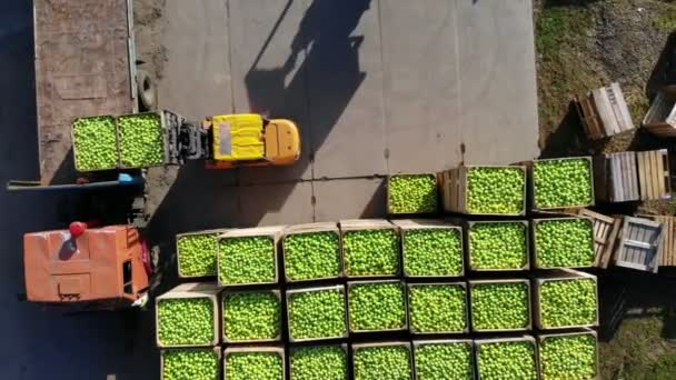 Oogst van appels, kleine laders, heftrucks, machines laden een grote vrachtwagen, wagen met grote houten dozen vol groene appels. bovenaanzicht, aero video. — Stockvideo