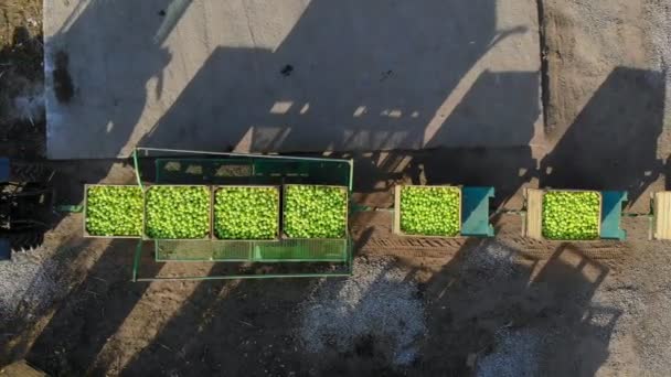 Vers geplukte apple oogst op boerderij. kleine laders, heftrucks, machines ontlaadsystemen en belasting, plaatsen grote houten dozen vol groene appels op elkaar bovenaanzicht, aero video. — Stockvideo