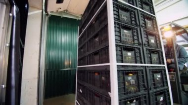 bir kamyon dolusu yükleniyor. küçük bir otomatik yükleyici üzerinde bir işçi, elektrikli forklift kamyon yükleri kutuları elma depoda bir büyük kamyon kamyonet içine alır. Ambar adam forklift ile çalışır.