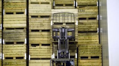 Özel makine, yükleyici, forklift kamyon özel depo depoda büyük ahşap kutuları üst üste, elmalı koyar.
