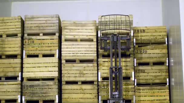 Specjalne maszyny, ładowarki, widłowy stawia duże drewniane skrzynki z jabłkami na siebie, w pokoju przechowywania w magazynie. — Wideo stockowe