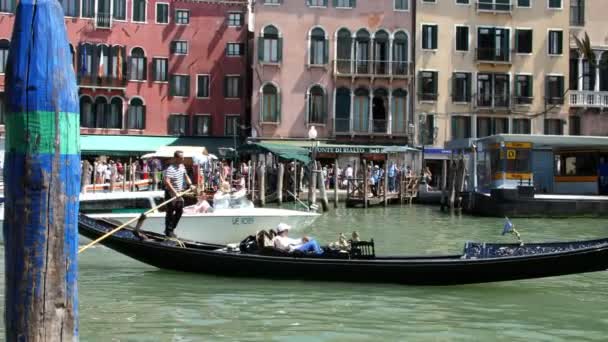 VENICE, ITALY - JULY 7, 2018: Grand Canal between the ancient houses of Venice, hot summer day. traditional Venetian gondola floats along the canal, carries tourists — Stock Video
