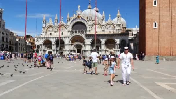 Venedig, Italien - 7 juli 2018: utsikt över lycklig man och kid flicka, turister, hålla händer, dansa, ha kul på Piazza San Marco, St Marks Basilica, en sommardag — Stockvideo