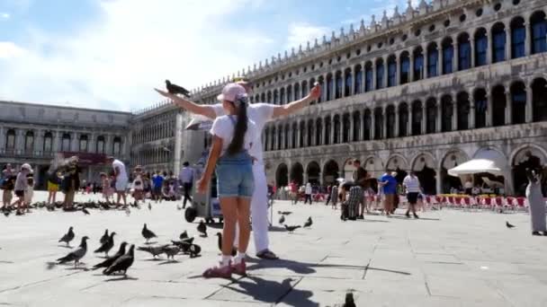 VENICE, ITALY - JULY 7, 2018: view of happy man and kid girl, tourists, holding pigeons, feeding, play with them, having fun on Piazza San Marco, St Marks Basilica, on a summer day — Stock Video