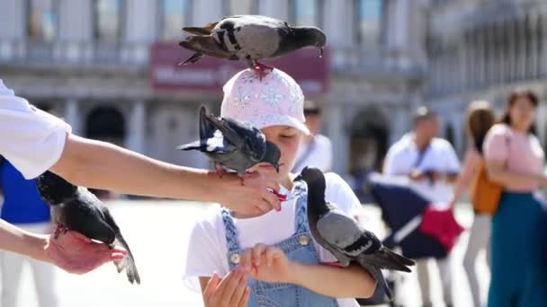 VENICE, ITALY - JULY 7, 2018: view of happy kid girl, tourist, holding pigeons, feeding, play with them, having fun on Piazza San Marco, St Marks Basilica, on a summer day — Stock Video