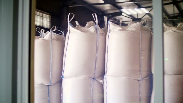 Large, full bags of cereal products in stock. The bags are stacked in rows, industrial warehouse — Stock Video