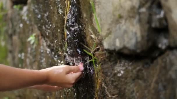 Nahaufnahme, Kinderhände. ein Kind wäscht seine Hände im klaren, transparenten Wasser eines Gebirgsbaches, der von den Bergen herabfließt — Stockvideo