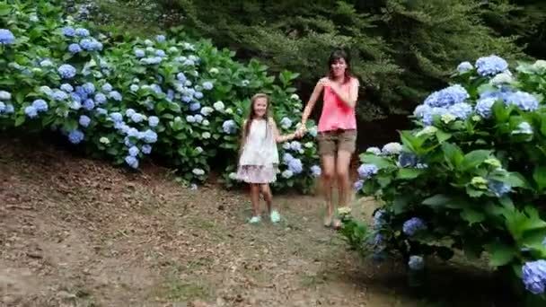 Muchos arbustos de hortensia florecientes crecen en el parque. La niña, el niño y la mujer, corren felices por las hermosas flores azules de la hortensia. . — Vídeos de Stock