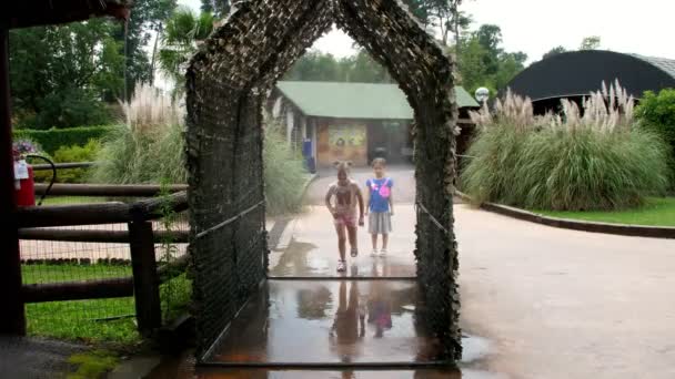 Safaripark Pombia, Italien - 7. Juli 2018: Unterhaltung im Zoo. Leichter Nieselregen. Wasser wird in einem kleinen Korridor versprüht, durch den fröhliche Kinder rennen. — Stockvideo
