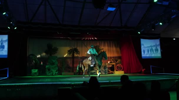 拉洛蓬野生动物园 意大利 2018年7月7日 纯种马的美丽表现 训练有素的马匹 马在骑手的指挥下表演各种特技 — 图库视频影像