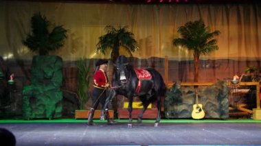 Safari Park Pombia, İtalya - 7 Temmuz 2018: güzel performans safkan, eğitimli atlar. atları bir binici komutası altında çeşitli stunts gerçekleştirmek.