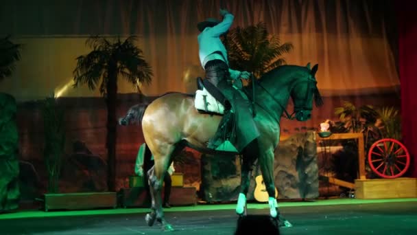 SAFARI PARK POMBIA, ITALY - JULY 7, 2018: beautiful performance of thoroughbred, trained horses. horses perform various stunts under the command of a rider. — Stock Video