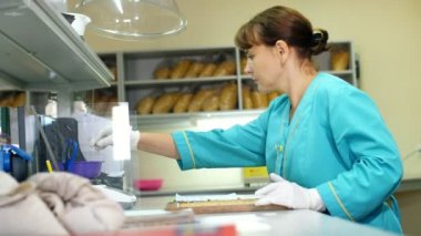Mısır tohumları laboratuar araştırmaları. farklı tür, seçim Mısır çeşitleri örnekleri. Laboratuvar analiz ve tahıl alanından tanı. Mısır ekimi