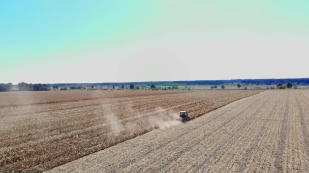 Letecký pohled shora. traktor vyjme suché kukuřičné stonky a listy po sklizni kukuřice. Letecká zemědělství. počátkem podzimu. — Stock video