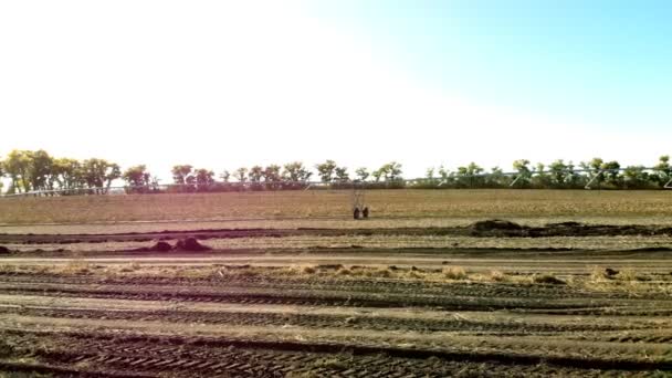 马铃薯田间灌溉系统。农田灌溉系统, 促进作物生长和农作物的进一步种植和种植. — 图库视频影像