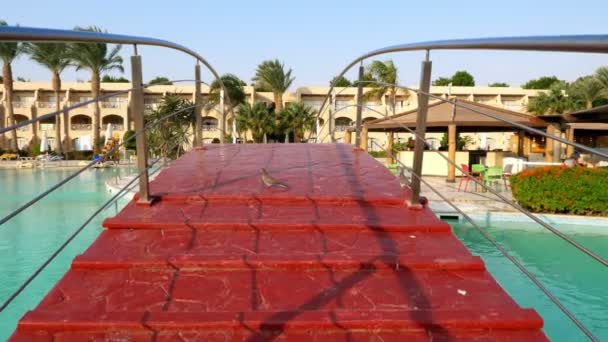 埃及赫尔格达-2018年10月24日: 酒店的生活。在酒店游泳池的美丽的红色桥梁。鸽子坐在桥上。炎热的夏日 — 图库视频影像