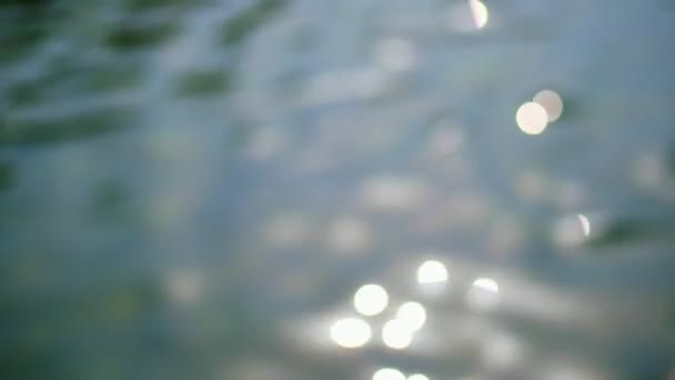 클로즈업, 풀, 터키석 물 태양에서 빛난다. 흐린된 초점입니다. 물에 밝은 반사. 여름 더운 날. — 비디오