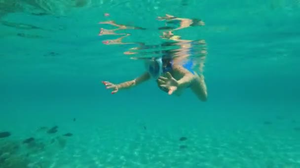 I havet, en flicka i en snorkling mask simmar, undersöker fisk, inhägnader, skönheten i undervattensvärlden, en varm sommardag, på semestern. — Stockvideo