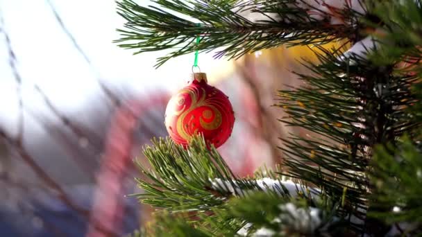 Primer plano, juguetes de Navidad colgando de una rama de árbol cubierta de nieve. invierno, helada, nevado, día soleado . — Vídeos de Stock