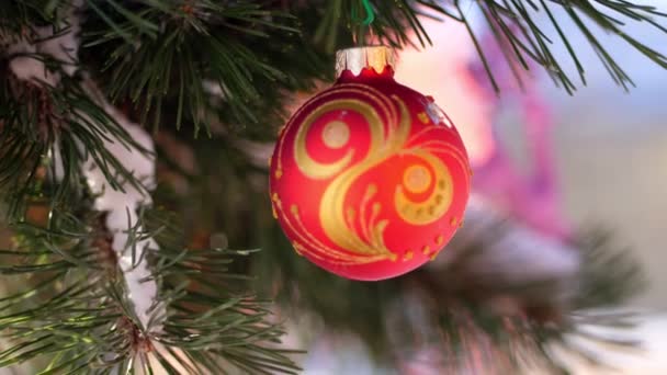 Detail, vánoční hračky visí na větvi zasněžený vánoční strom. zimní, mrazivá, zasněžená, slunečný den. — Stock video