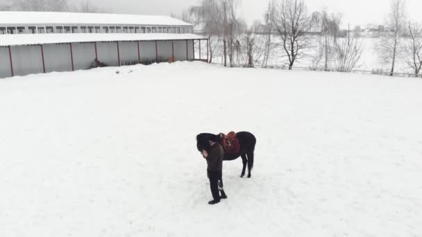 Aero, top uitzicht, winter, gehandicapte man staat in de buurt van zwarte paard op besneeuwde veld. Hij heeft de prothese in plaats van zijn rechterbeen. Hij leert om te rijden paard, hippotherapie. revalidatie van gehandicapten met dieren. — Stockvideo