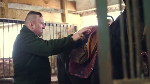 En el establo, un hombre sujeta una silla para montar un caballo negro de pura sangre — Vídeo de stock