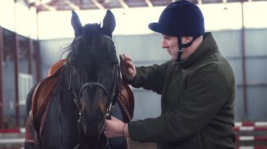 yakın çekim, bir ahırda bir adam bir namlu safkan, siyah bir at vuruş