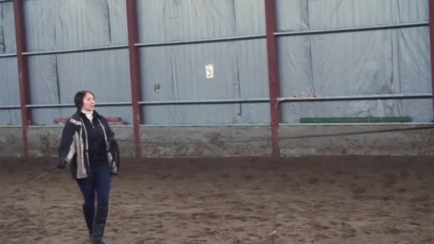 En un hangar especial, una entrenadora entrena a un caballo negro de pura sangre. salta, corre en círculo, alrededor. entrenamiento de caballos — Vídeos de Stock