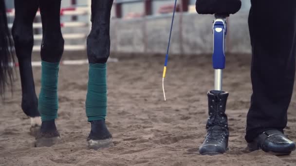 Primo piano, gambe di cavallo, riavvolto con benda e gambe maschili di un cavaliere disabile. l'uomo ha una protesi invece della gamba destra. concetto di amicizia sincera tra uomo e animale. Ippoterapia . — Video Stock