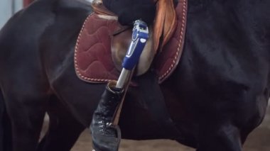 yakın çekim, yapay bacak, bacak stirrups içinde. Erkek binici, bacak, olmadan Engelli kişi ata, hippoterapi binmek öğrenir. hayvanlarla Engelli rehabilitasyonu kavramı.