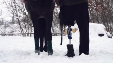 yakın çekim, at bacaklar, bandaj ve Engelli bir binici erkek bacakları ile rewound. Sağ bacağı yerine bir protez yaşamalı. insan ve hayvan samimi dostluk kavramı. Hippoterapi.