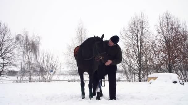 Zimní, zakázaný člověk stojí u Černého koně na zasněženou plání. muž tahy tlamy koně. člověk má protézu místo pravou nohu. on se učí jezdit na koni, hipoterapie. rehabilitace — Stock video