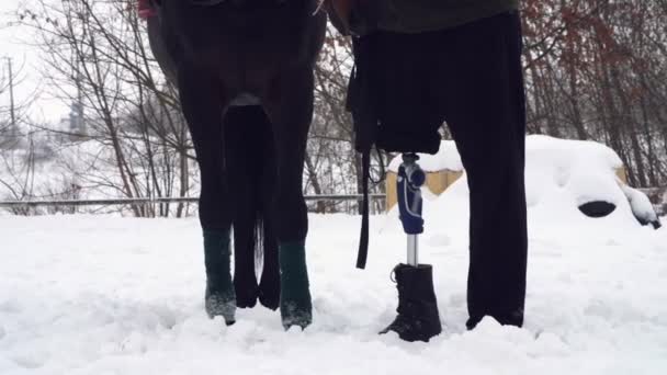 Nahaufnahme, Pferdebeine, mit Verband und Männerbeinen eines behinderten Reiters aufgewickelt. Der Mann hat statt seines rechten Beins eine Prothese. Konzept der aufrichtigen Freundschaft zwischen Mensch und Tier. Hippotherapie. — Stockvideo