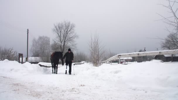 Inverno nevoso, uomo disabile fantino conduce, tenendo con le redini un cavallo nero sulla strada. l'uomo ha una protesi invece della gamba destra. concetto di riabilitazione di disabili con animali. ippoterapia — Video Stock