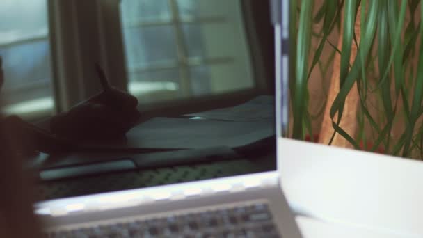 Primer plano, reflejo en la pantalla del ordenador portátil. Recortado tiro de las mujeres de negocios mano escribiendo algo mientras se utiliza el ordenador portátil en el escritorio. mujer de negocios trabajando con gadgets, documentos en la oficina . — Vídeos de Stock