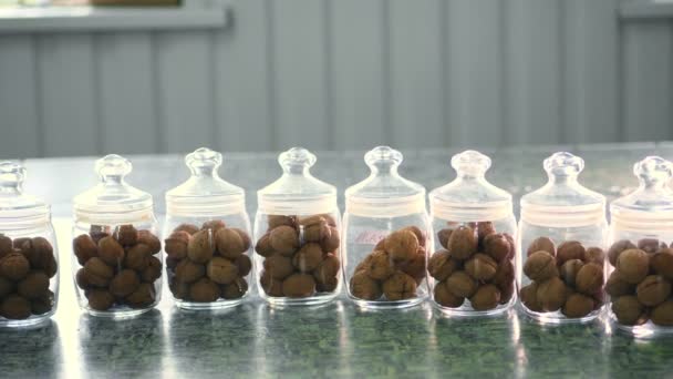 Detail, uložené ve skleněných nádobách jsou semena, vlašské ořechy, různé druhy pěstované na chov, hybridy ořechů. ořechy v nejlepší kvalitě. matice pro rodokmen koně. — Stock video