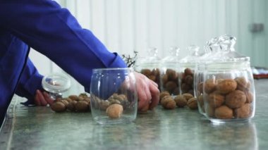yakın çekim, işçi s el cam kavanozlarda ceviz koyun. farklı çeşitleri, seçmeli olarak, yetiştirilen melez ceviz daha iyi kalitede. Ceviz gıda sanayî için. yem ceviz safkan atlar için.