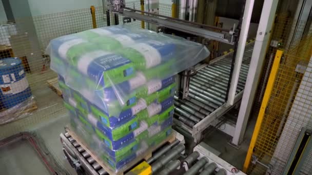 Ukraina, Cherkassy, mars 25, 2019: jordbruksföretag Mais. automatiserad förpackning process, omslag majs spannmåls påsar på pallar med film, för vidare lastning och transport — Stockvideo