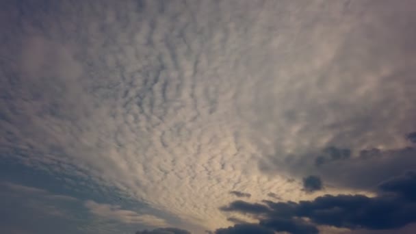 Timelapse, al atardecer, cielo azul oscuro, nubes de trueno corriendo, nubes de lluvia — Vídeo de stock