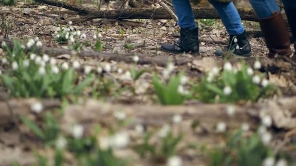 Gros plan, dans la forêt printanière, au milieu des chutes de neige, des jambes féminines en bottes et de l'adolescence en bottes. promenade en famille dans la forêt printanière — Video