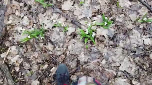 Primo piano, vista dall'alto, nella foresta primaverile, tra bucaneve, zampe maschili che camminano in stivali, i bucaneve sono fiori rari registrati nel Libro Rosso, sono protetti dalla legge. inizio primavera — Video Stock