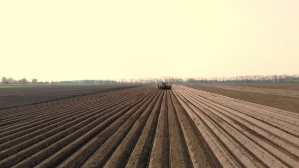 Аэросъемка, большой трактор со специальным оборудованием для посадки картофеля едет через вспаханное поле чернозема, картофель растений, образует ровные ряды и насыпи. посевной сезон. прекрасный весенний день — стоковое видео