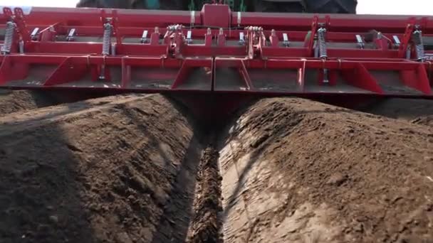 Close-up, process of mechanized machine potatoe planting. large tractor with special equipment makes Long flat top rows, furrows, mounds, for newly planted potatoes on plowed black soil field, spring — Stock Video
