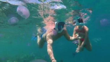 adam ve Kız genç şnorkel için tam yüz maskeleri mor denizanası arasında kırmızı denizde yüzmek. denizanası dokunuyor. Sualtı manzarası. mercan resifinde şnorkelli yüzme, yaz tatili etkinliği