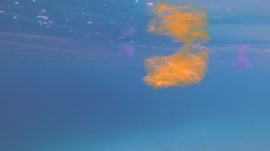 Yüzen plastik çöp, Çöp, torbalar ve su yüzeyinde tek kullanımlık bardak. denizve okyanusların kirliliği, Çevre sorunu. deniz yaşamına zarar, sakinleri.