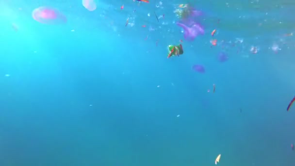 漂浮的塑料垃圾、垃圾、袋子和一次性杯子在水面上。海洋污染，环境问题。对海洋生物、居民的伤害. — 图库视频影像