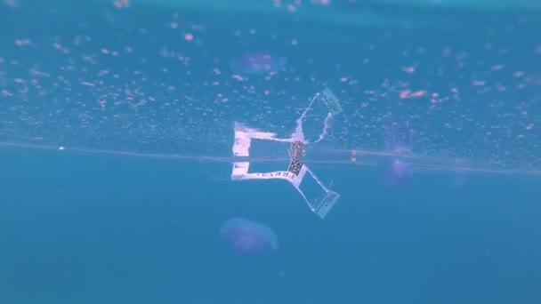 Basura plástica flotante, basura, bolsas y vasos desechables en la superficie del agua. contaminación de mares y océanos, problema medioambiental. daños a la vida marina, residentes . — Vídeo de stock